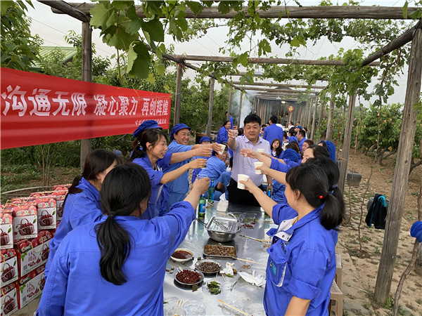 1622513029316296.jpg 今世康公司櫻桃采摘自助燒烤團(tuán)建活動(dòng)11.jpg