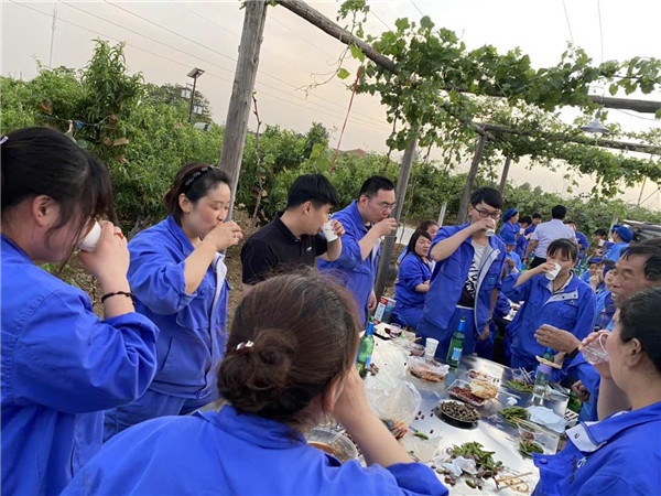 1622513057247009.jpg 今世康公司櫻桃采摘自助燒烤團(tuán)建活動(dòng)13.jpg