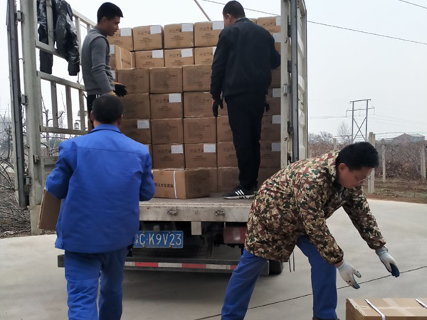 今世康膏藥廠家50萬貼傳統(tǒng)黑膏藥貼牌產品發(fā)貨現(xiàn)場