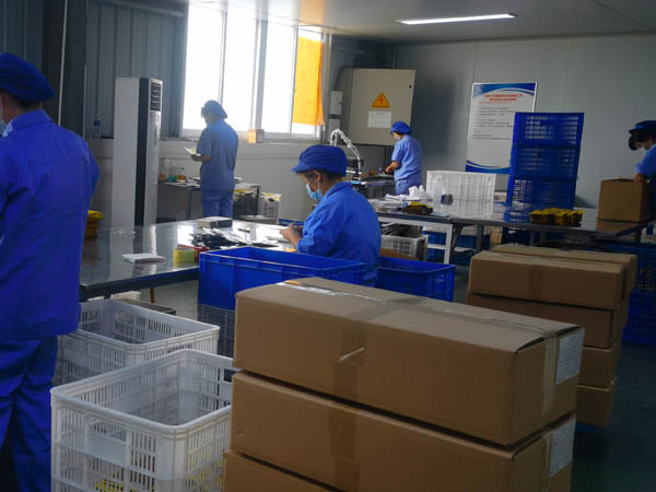 哪里有膏藥加工廠？膏藥貼牌廠家哪家好？